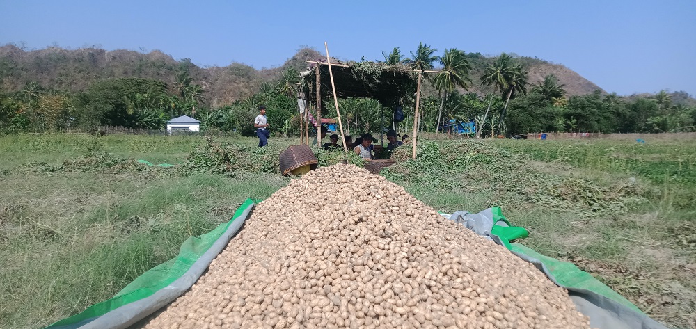 green journey , local NGO