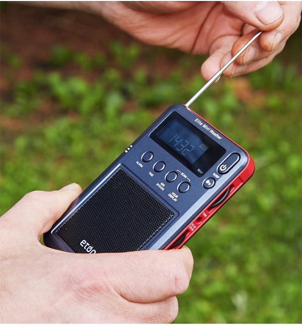 Green Journey - local NGO