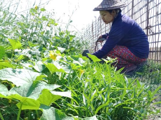 local ngo - green journey